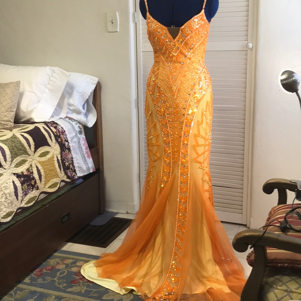 Gorgeous colors custom gown. Fits a 6.